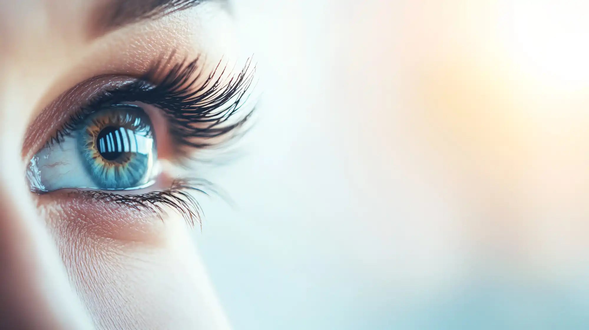 10 tips about eyelash extensions – what you need to know.